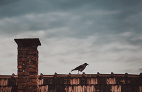 SVP - Blog - Social Housing in Ireland: Past and Present
