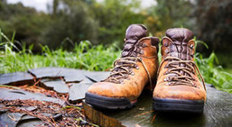 Two boots in the forest