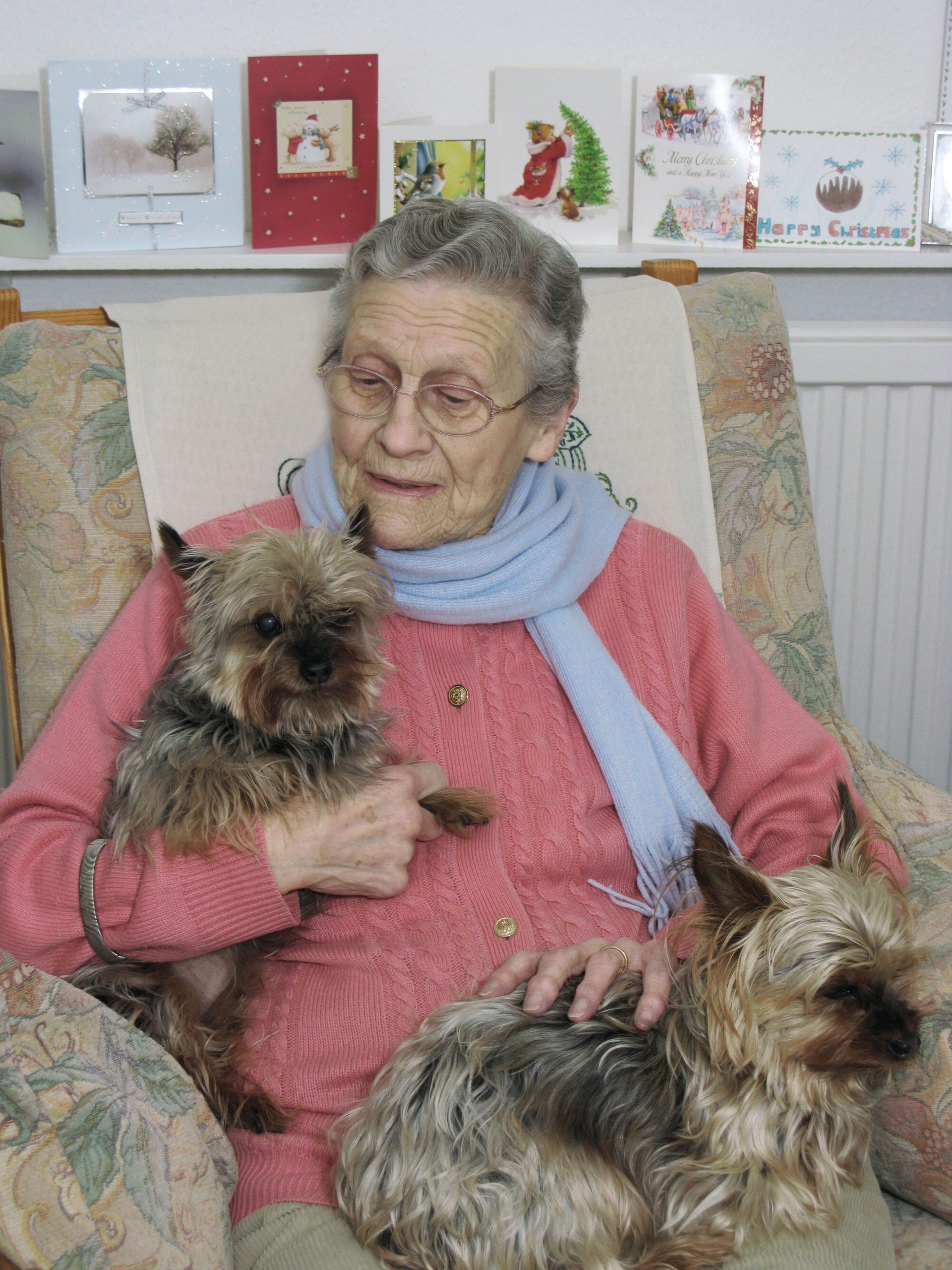 An old lady with her pet dogs