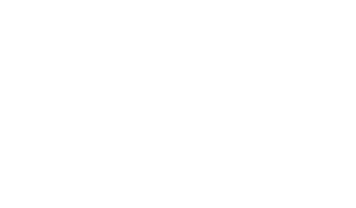 SVP Logo