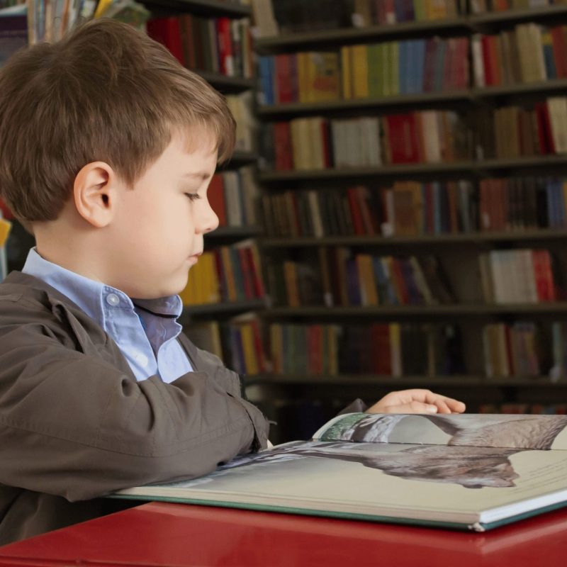 A child reading a book