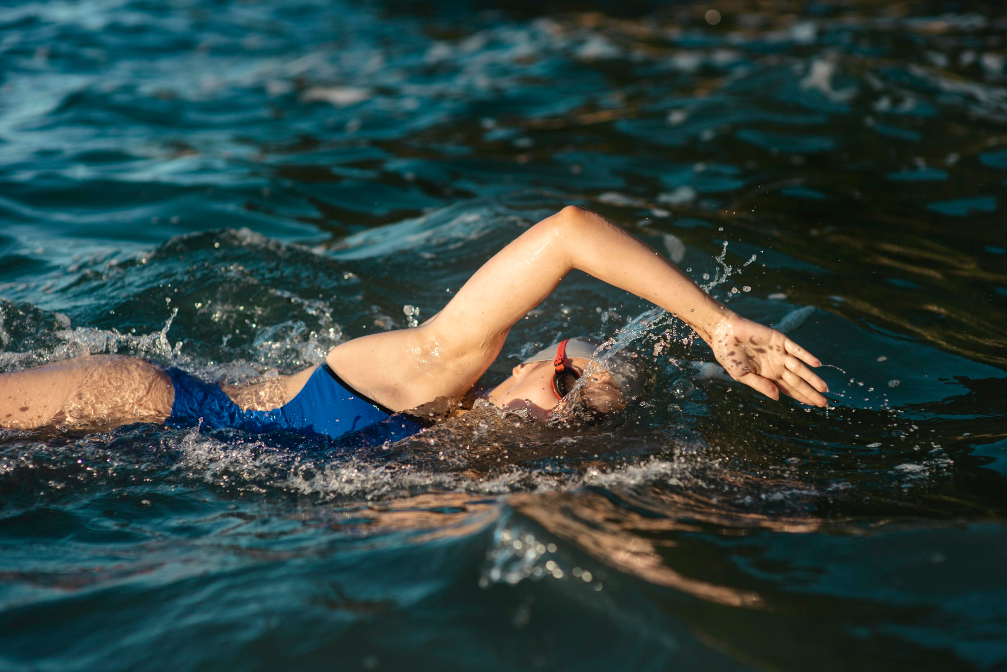 Sea Swimmers