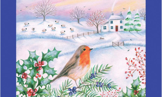 Dunnes Christmas cards