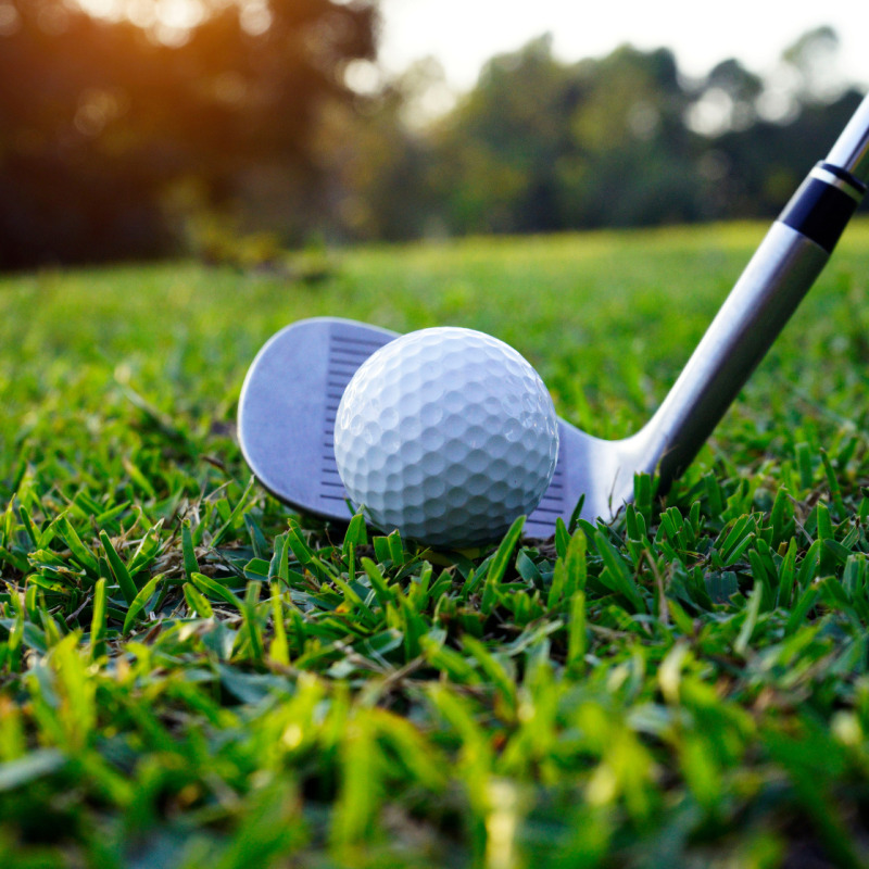 An Image of a Golf Ball on the Grass